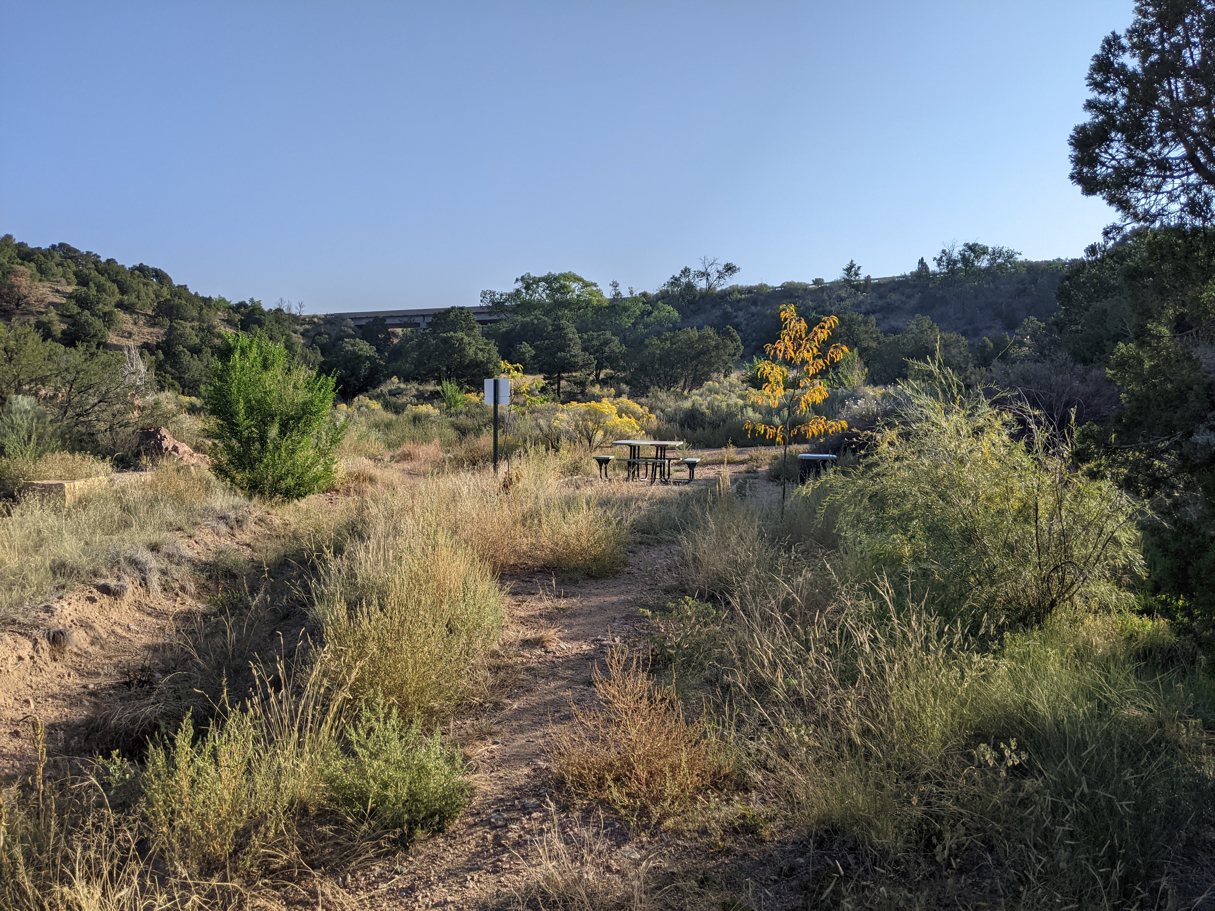A trail runs through open space near a roadway.