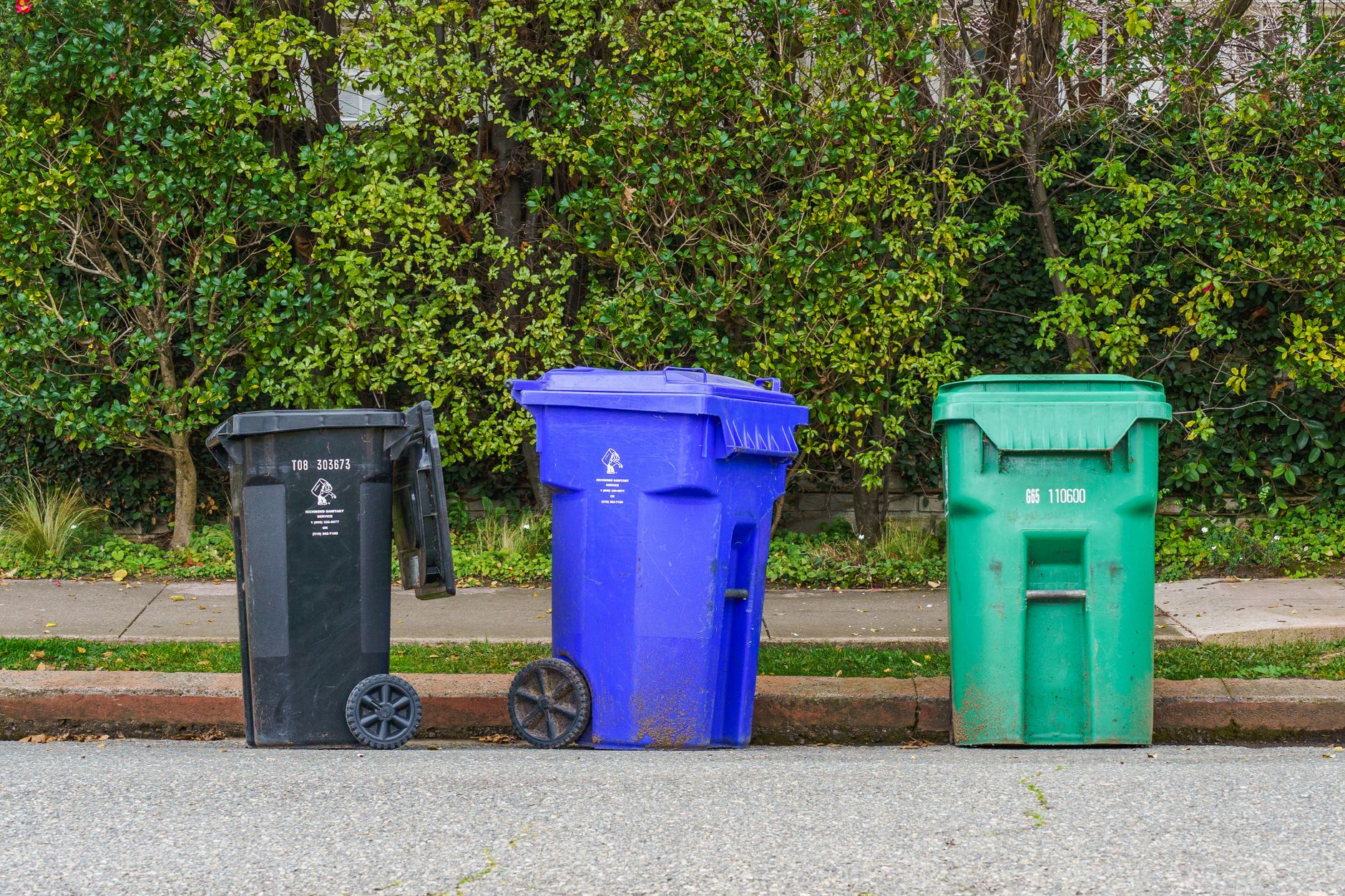 Blue, green and black waste bins line a curb ready for collection.
