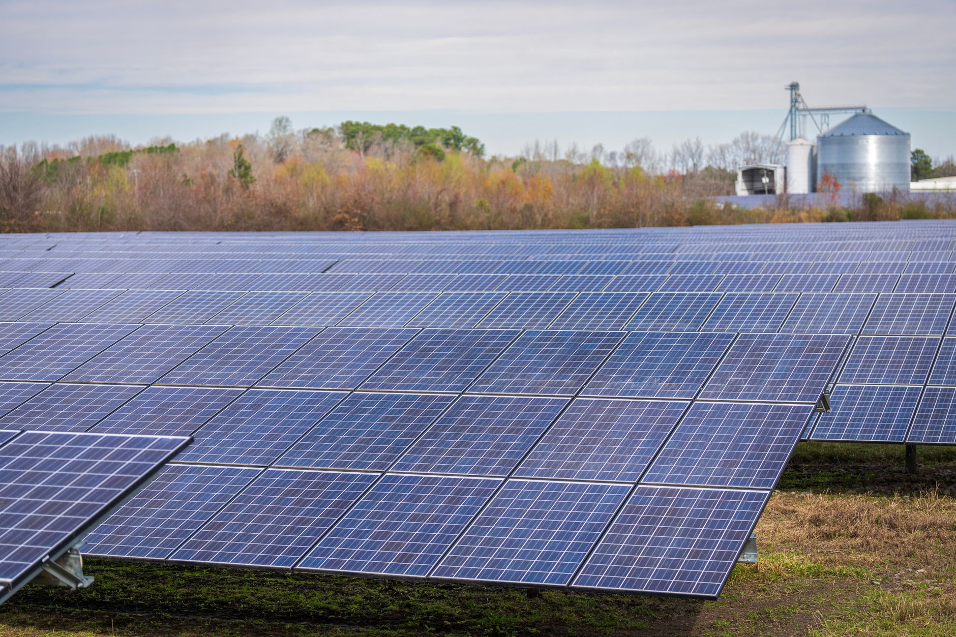 Rows of solar panels in a large outdoor field.